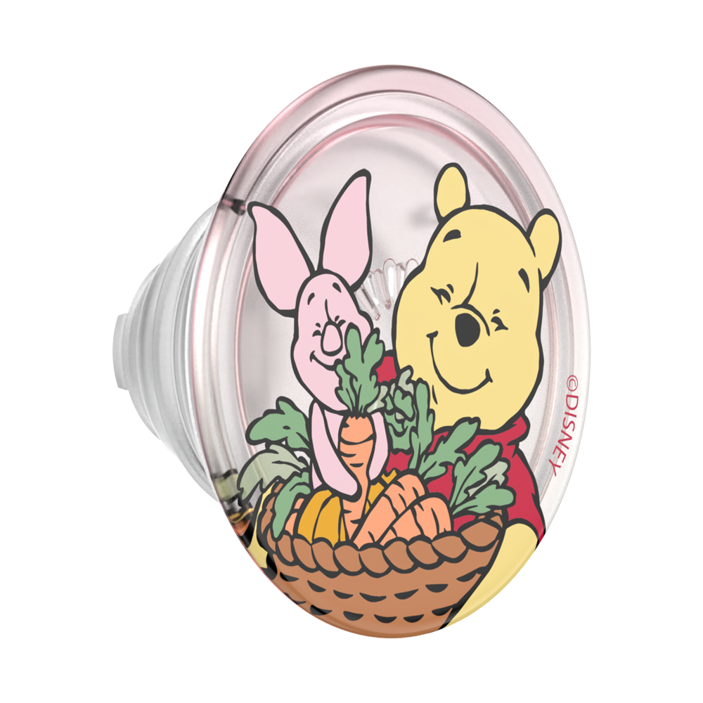 Harvest Friends — MagSafe PopGrip - US 87366