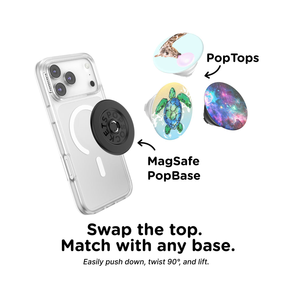 Tortuga — PopTop - US 58351