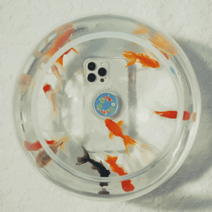 Koi Pond — MagSafe PopGrip - US 80179