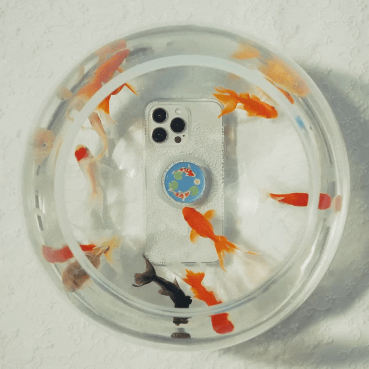 Koi Pond — MagSafe PopGrip - US 65167