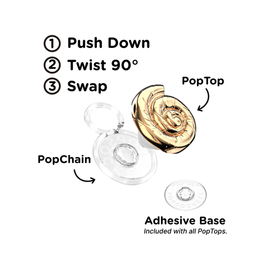 Enamel Nautilus Shell — PopTop - US 02115