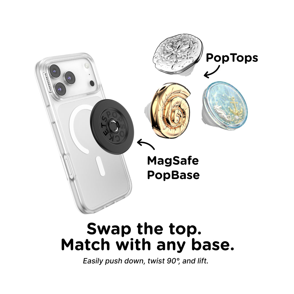 Enamel Nautilus Shell — PopTop - US 02115