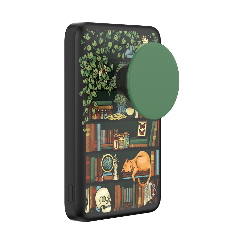 Storied Shelves — MagSafe PowerPack - US 39888
