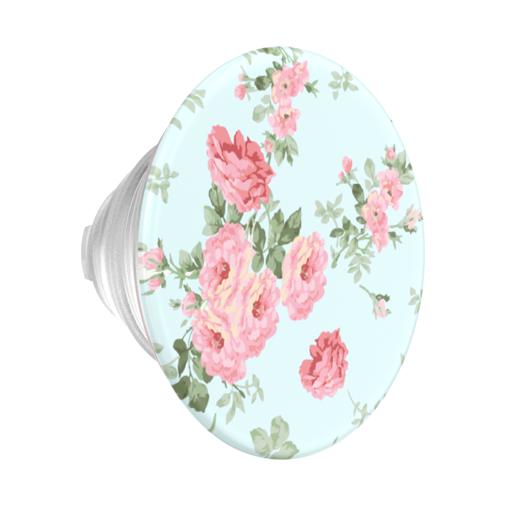 Cottage Tutu Blue —  MagSafe PopGrip - US 62533
