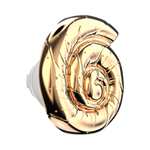 Enamel Nautilus Shell — PopTop - US 02115