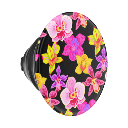 Haute House — PopTop - US 00439