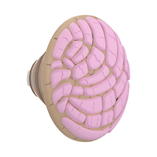 PopOut Concha — PopTop - US 90189