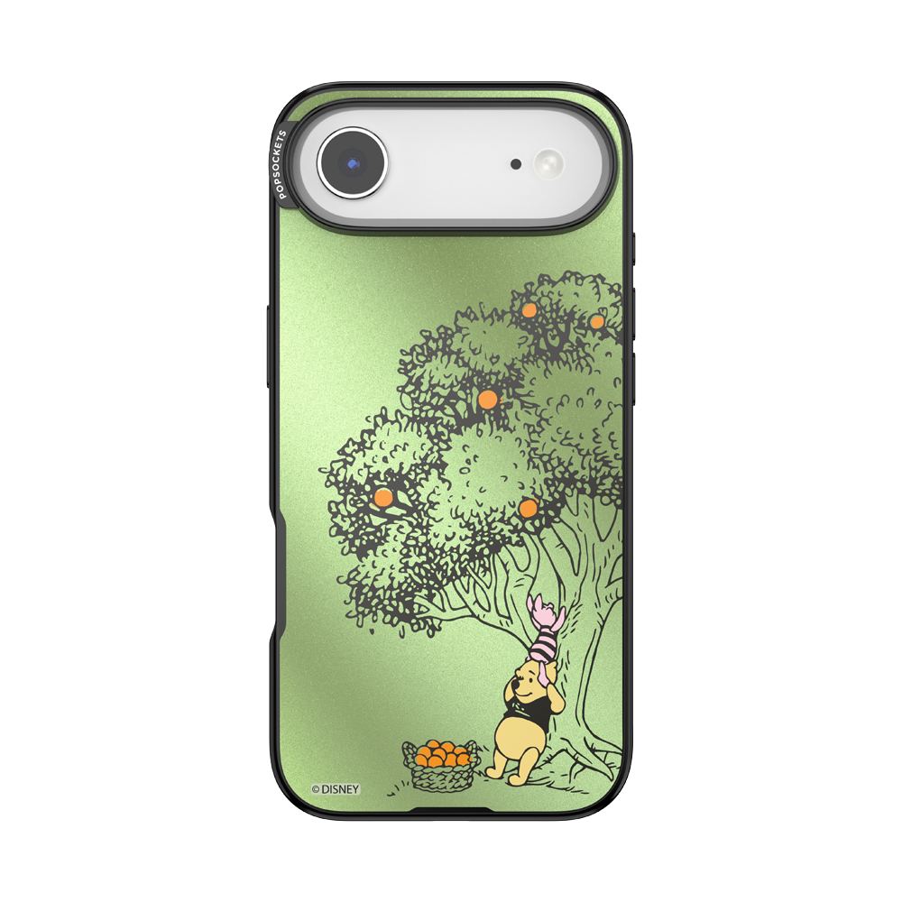 100 Acre Wood — iPhone Air MagSafe Case - US 97756