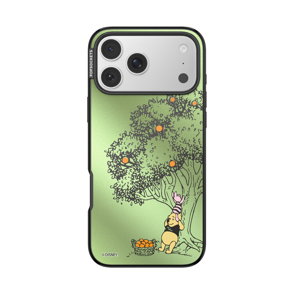 100 Acre Wood — iPhone 17 Pro Max MagSafe Case - US 15909