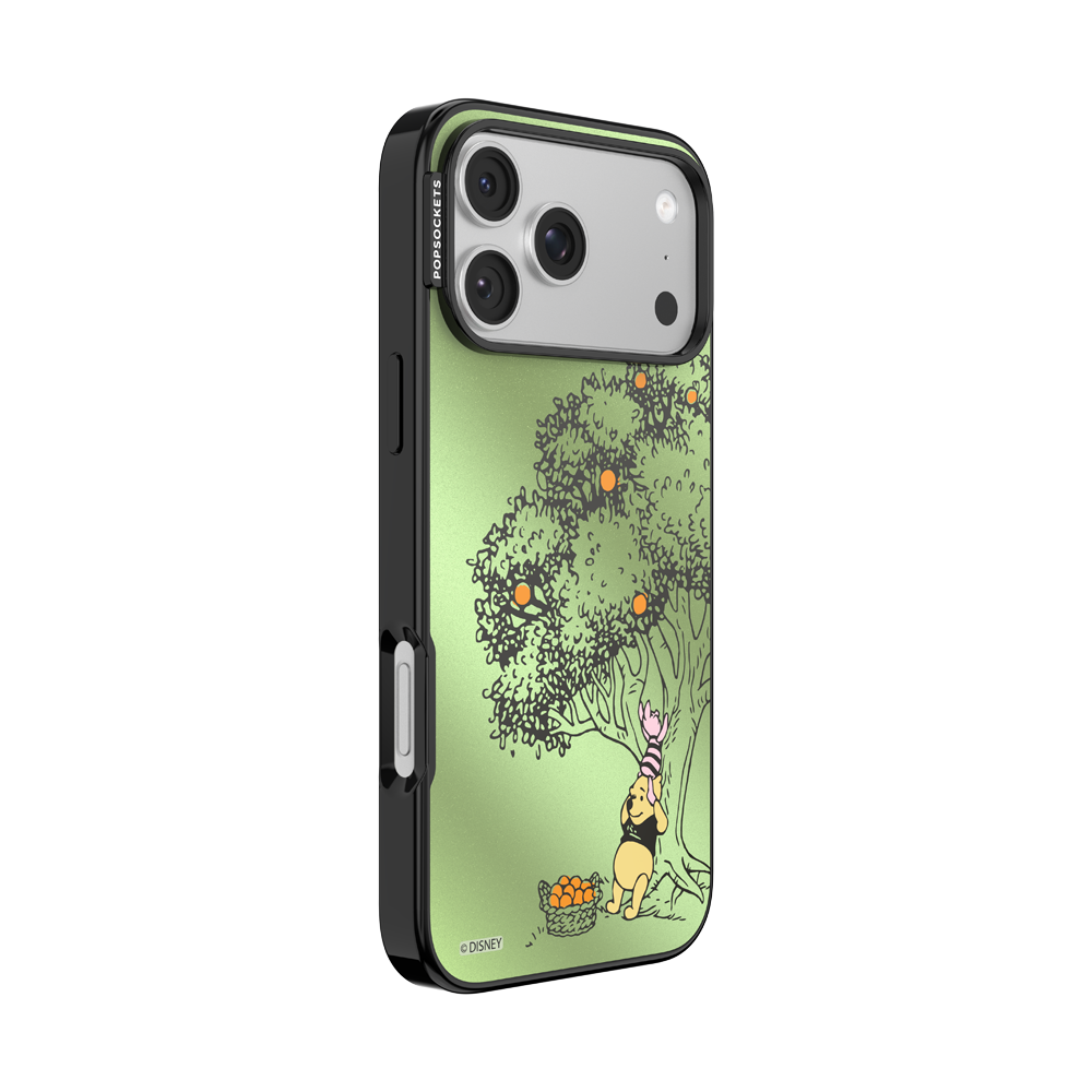 100 Acre Wood — iPhone 17 Pro Max MagSafe Case - US 70963