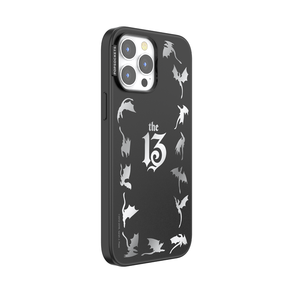 Mirror The 13 — iPhone 13 Pro Max MagSafe Case - US 95064