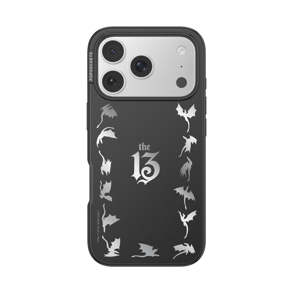 Mirror The 13 — iPhone 17 Pro MagSafe Case - US 93280