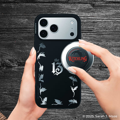 Mirror The 13 — iPhone 17 Pro Max MagSafe Case - US 29508