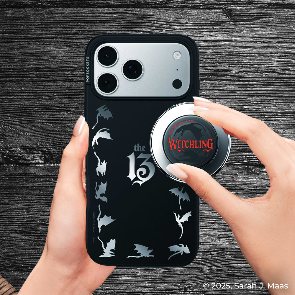 Mirror The 13 — iPhone 17 Pro MagSafe Case - US 93280